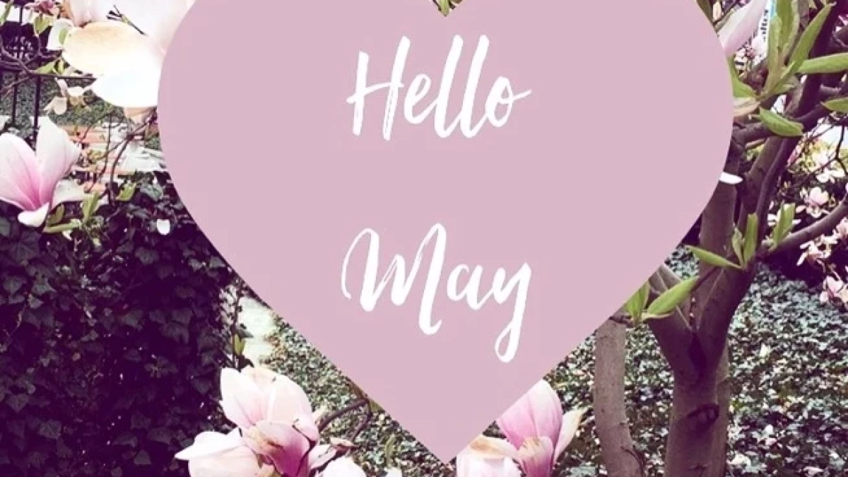 Hello May