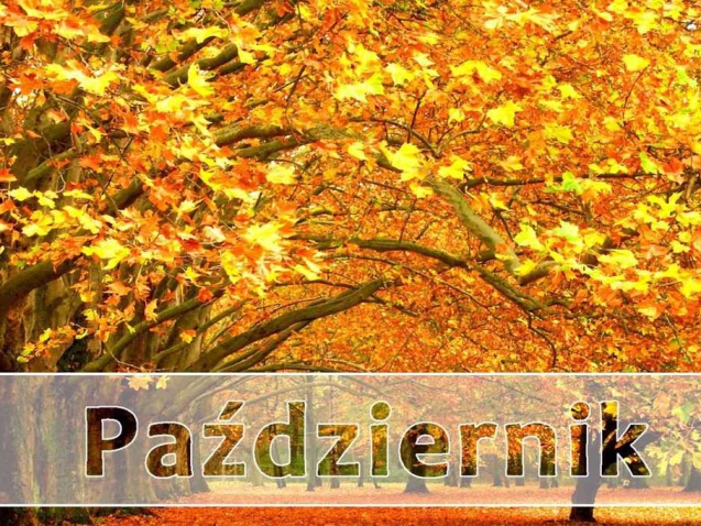 pazdziernik_sko_thumb