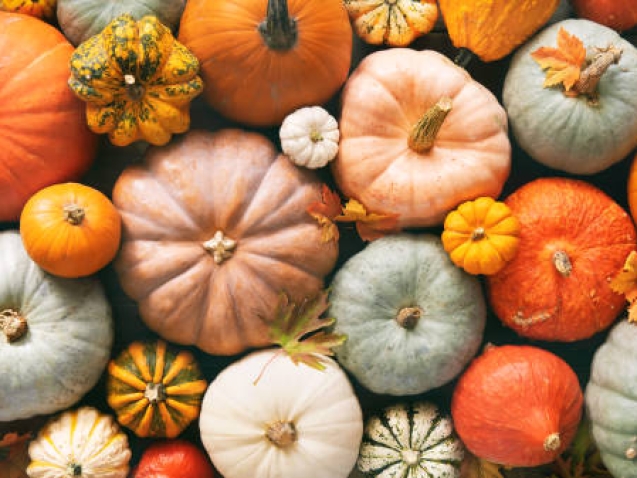 Various fresh ripe pumpkins as background, top view. Holiday decoration