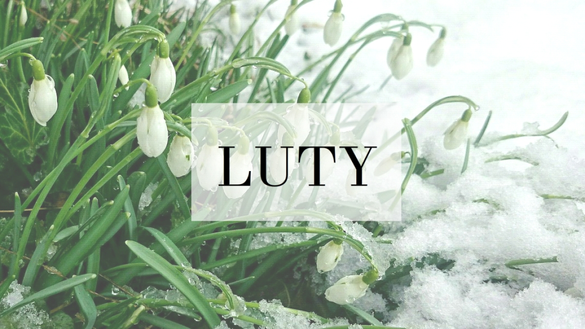 luty-kpo