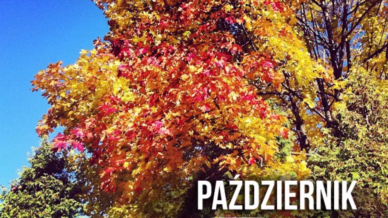 październi4k