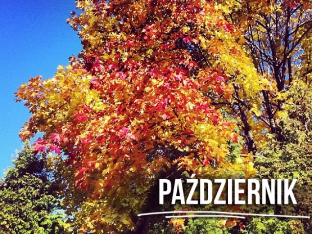 październi4k