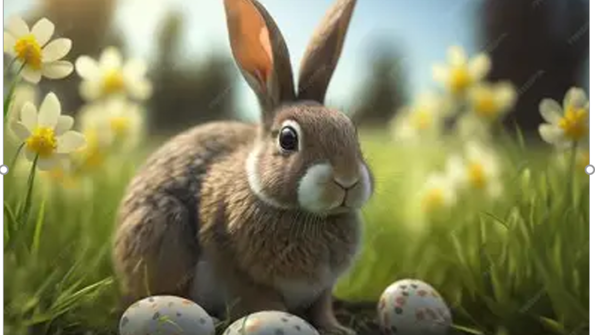 Zrzut ekranu 2026-04-02 090645